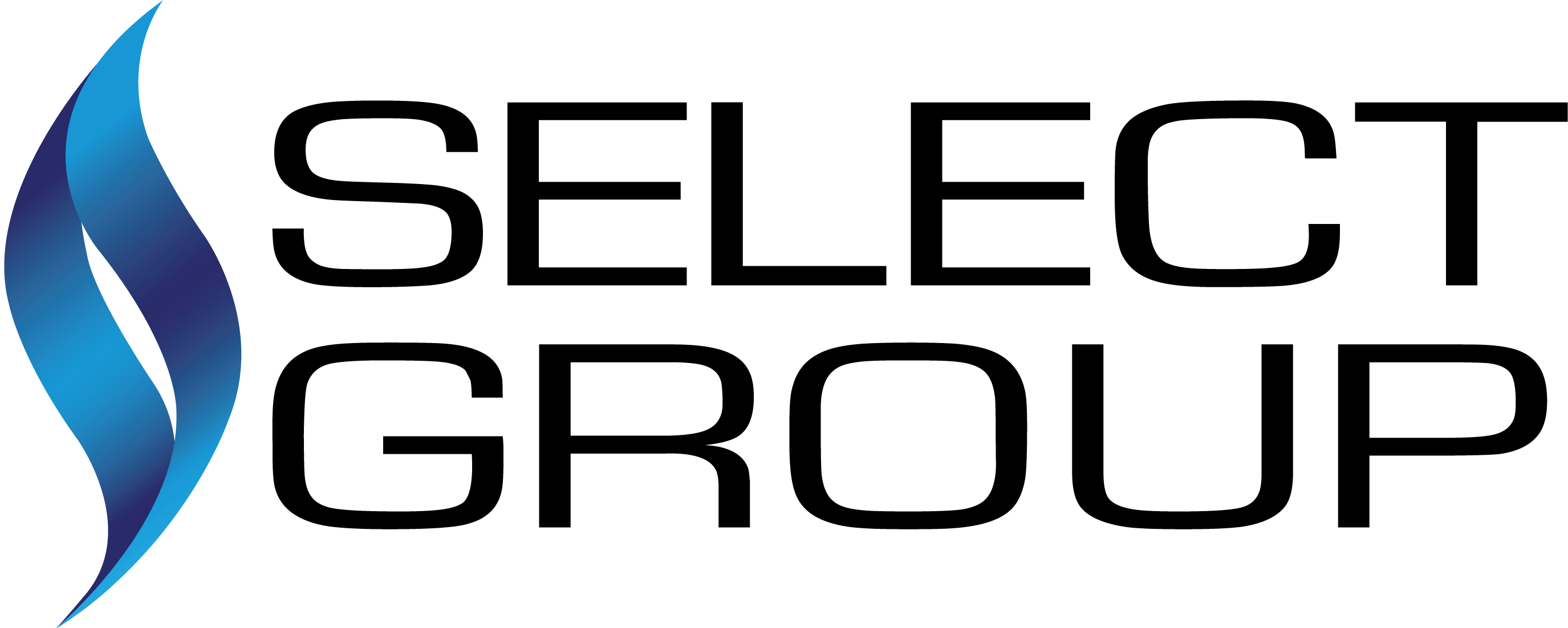 developer logo