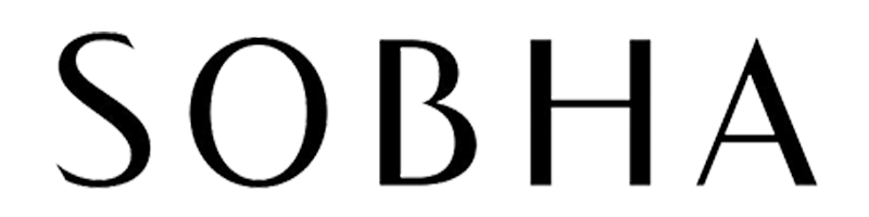 developer logo