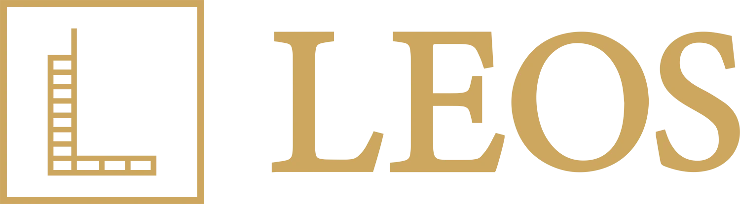 developer logo