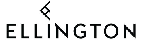 Developer Logo