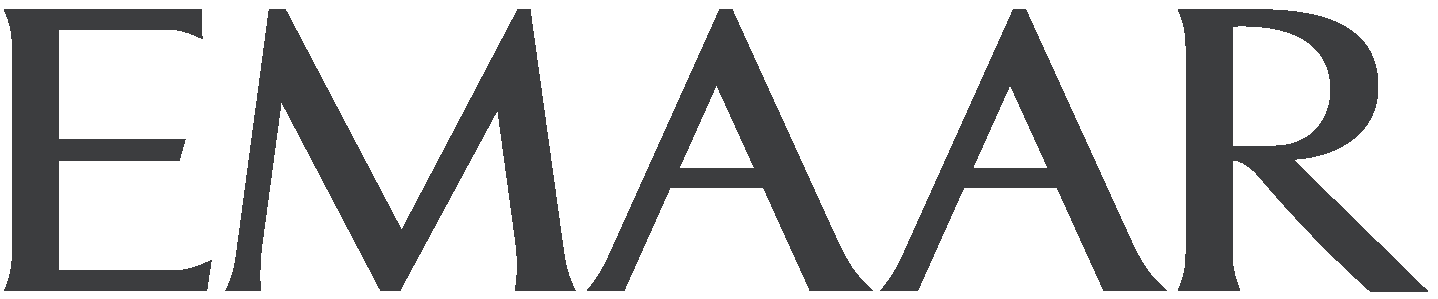 Developer Logo